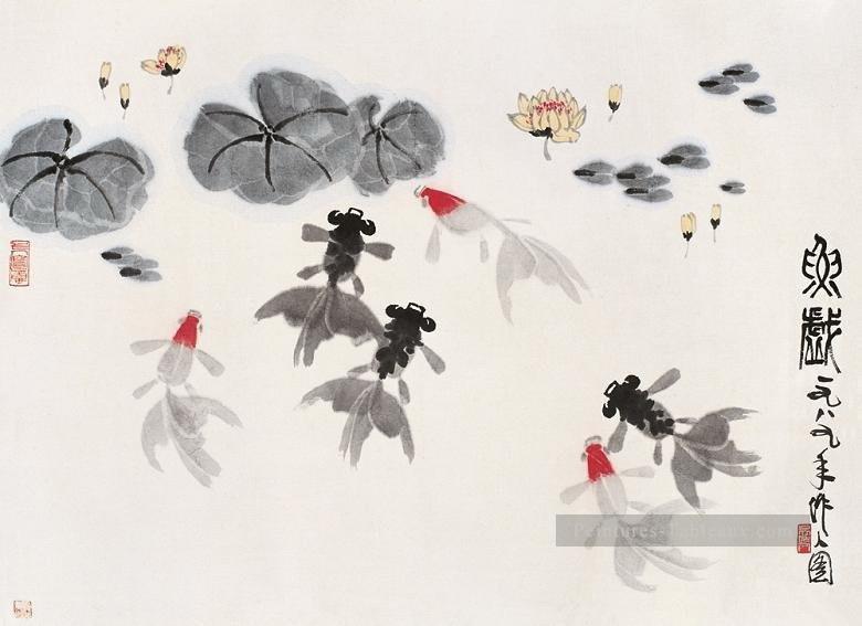 Wu Zuoren Goldfish dans les nymphéas ancienne Chine à l’encre Peintures à l'huile